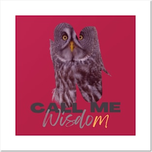 Owl and wisdom Posters and Art